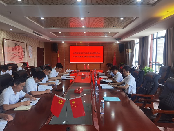 高广飞督导徽盐地产集团定远项目党支部组织生活会